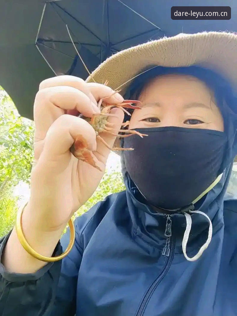 LEYU平台评测官方下载，一张网里捞鱼还是摸虾？